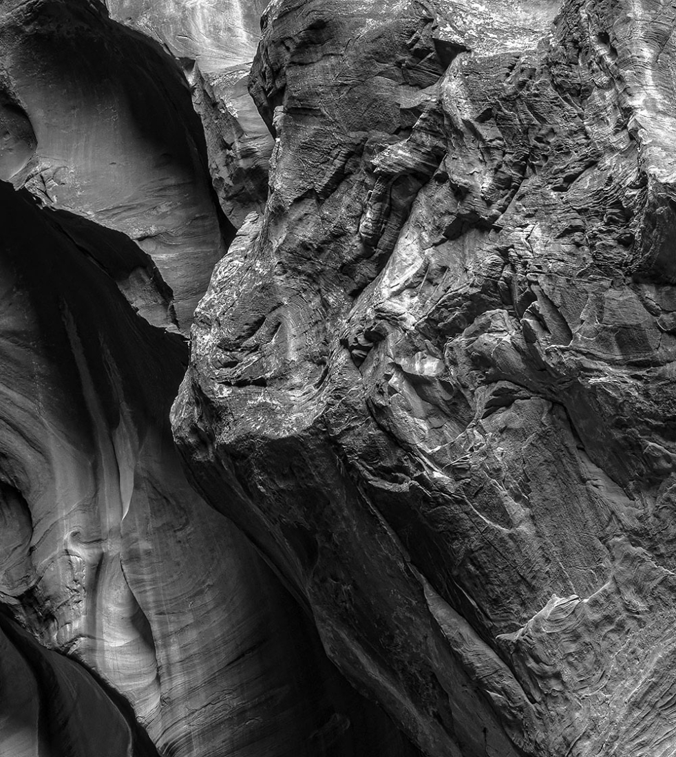 Buckskin-E7_12 • 111″ x 54″ • 300ppi – photo resolution