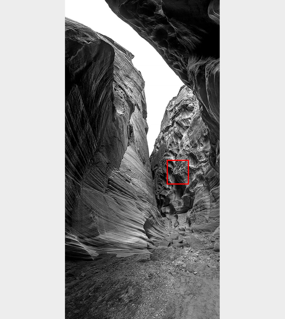 Buckskin-E7_12 • 111″ x 54″ • full frame