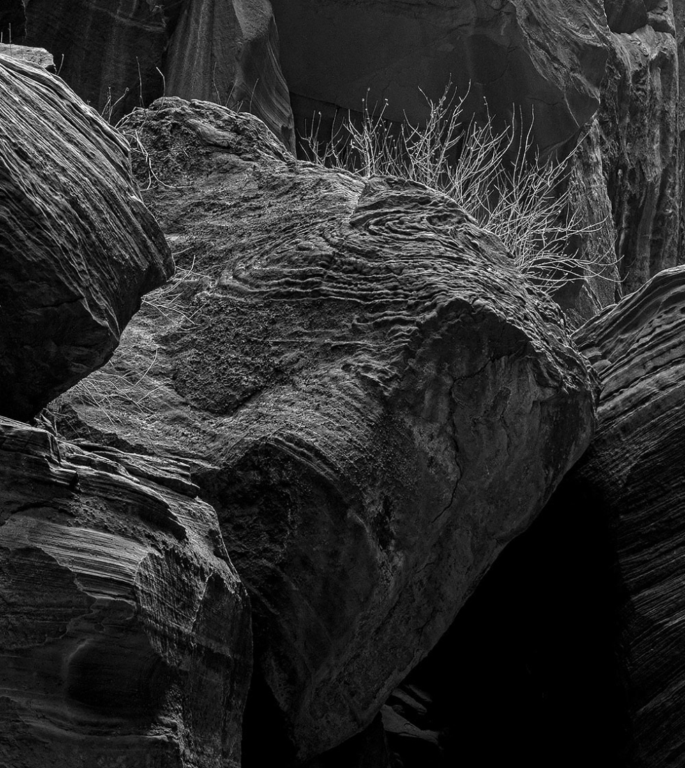 Buckskin-E7_15 • 132″ x 72″ • 300ppi – photo resolution